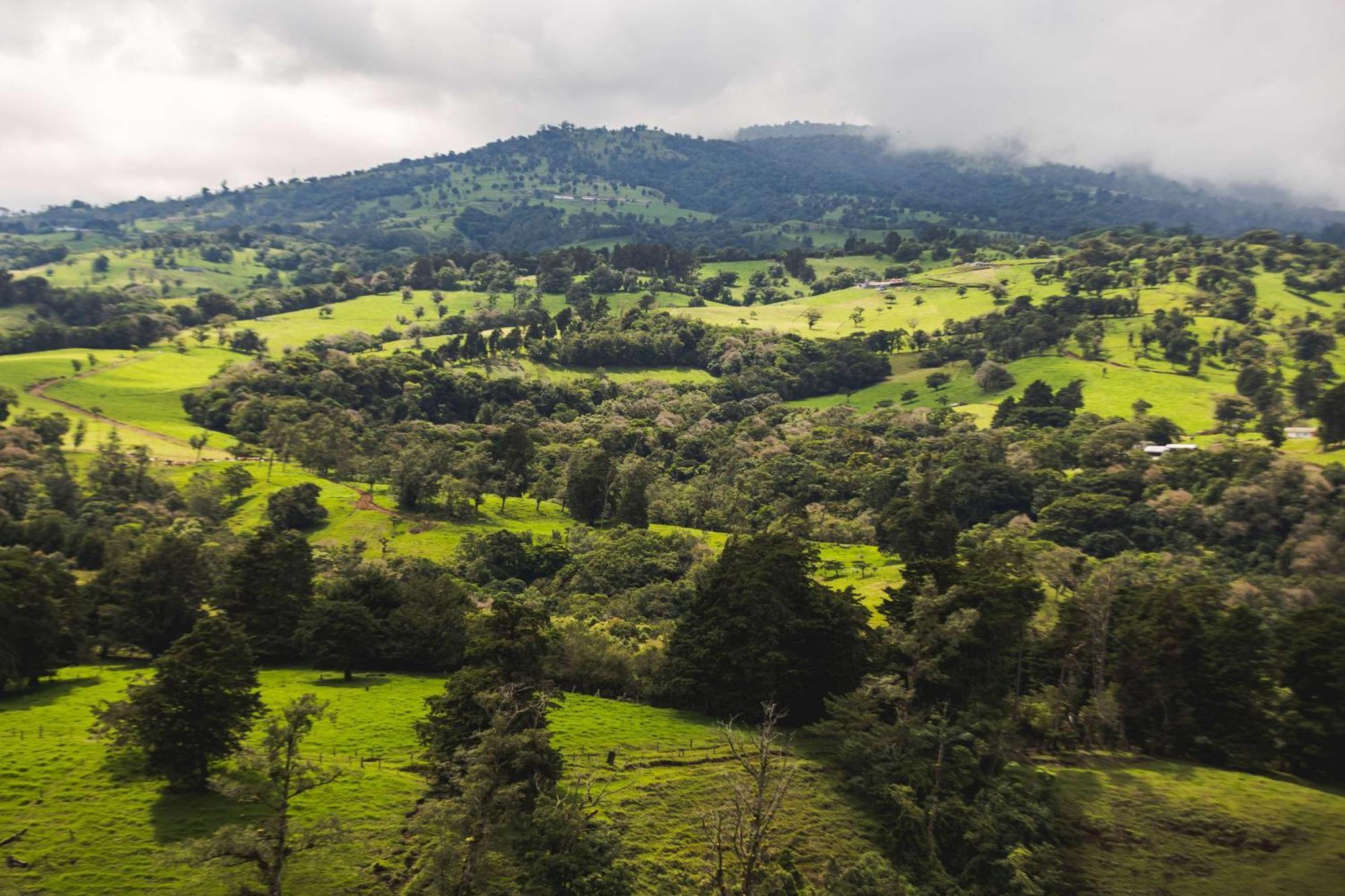 Отель Hyatt Centric San Jose Escazu Экстерьер фото
